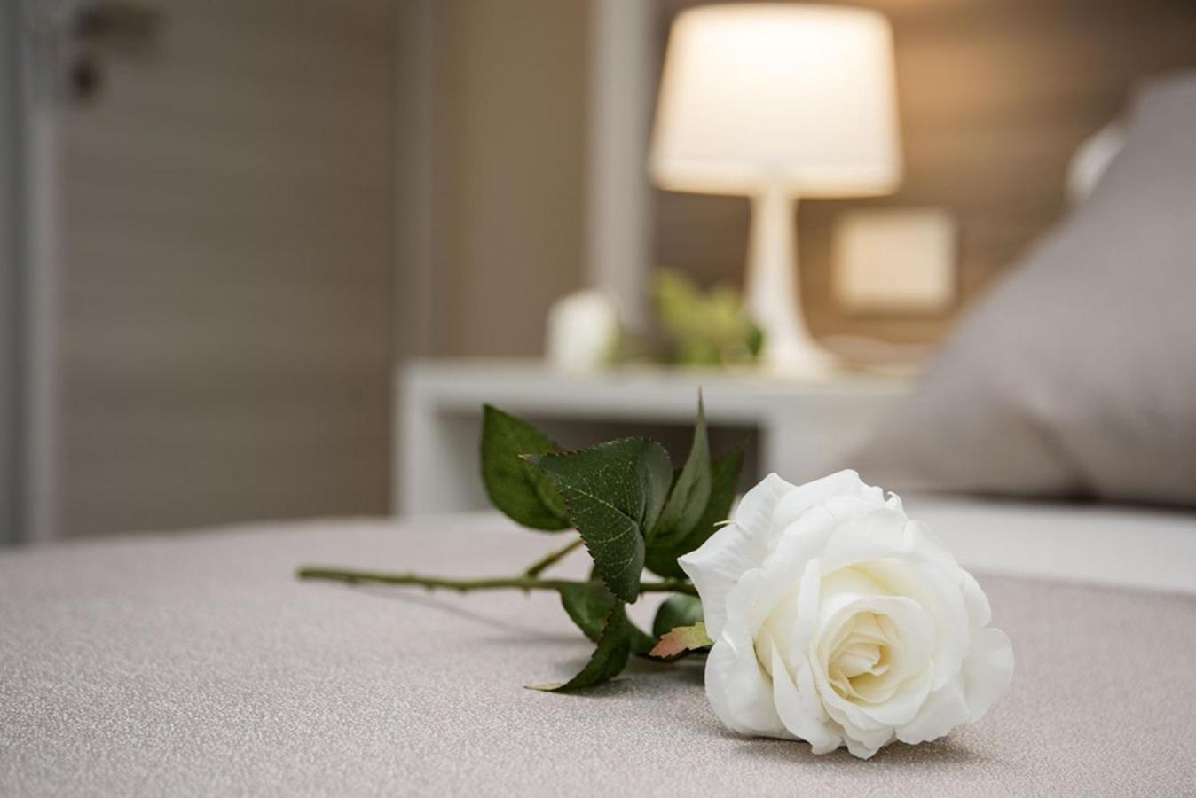 Camelot Appartamenti - Business E Holiday San Martino Buon Albergo Eksteriør bilde